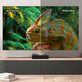 Hisense 100" DLT100-E ALR Fresnel Projection Screen Only